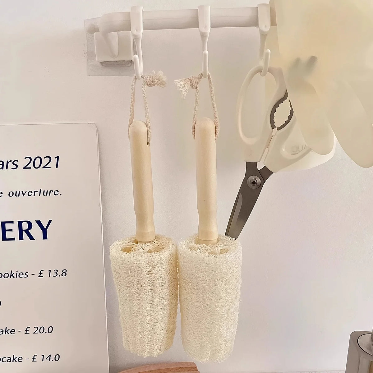 Wooden Handle Loofah Bottle Brush Pc - Eco-Friendly
