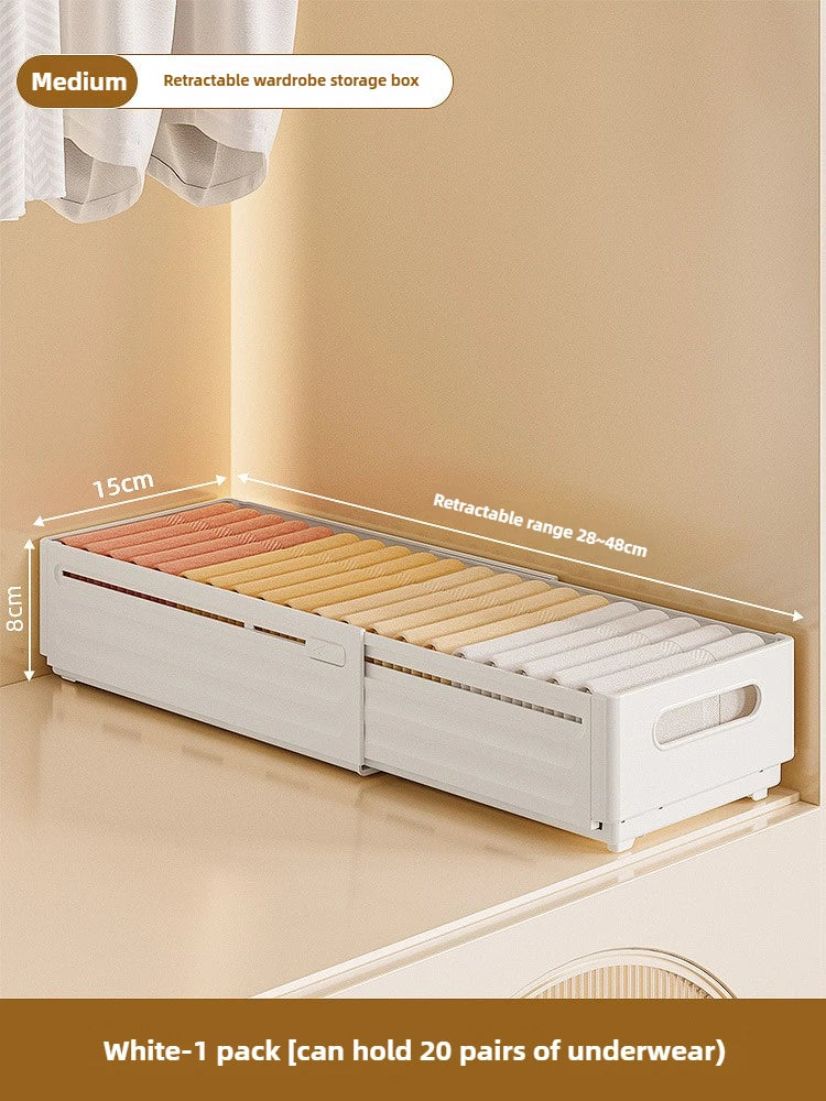 Adjustable Clothes Storage Box Closet Organizer Categorized
