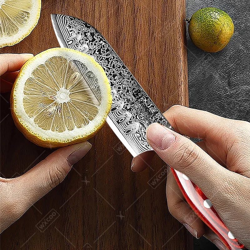 Tamzuo Santoku Knife Japanese Hand Forged Damascus Steel