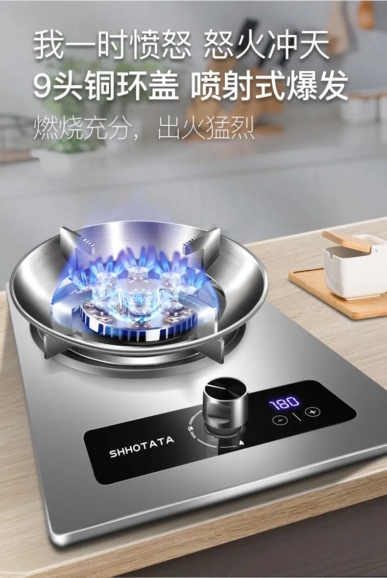 Built-In Kitchens Cookers Gas Stove Stove Stainless Steel