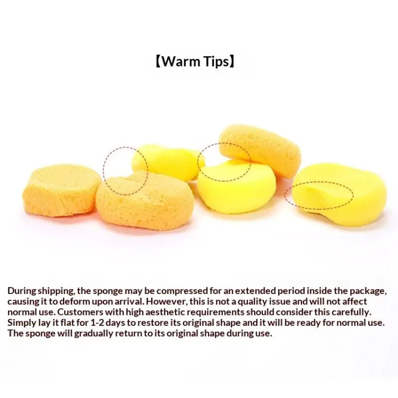 Pottery Sponge Water Absorbent Pottery Sculpture Modeling