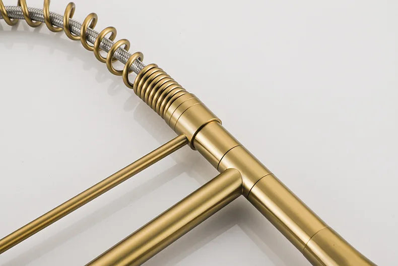Faucet Brushed Nickel Pull-Out Faucet Swivel Dual Purpose