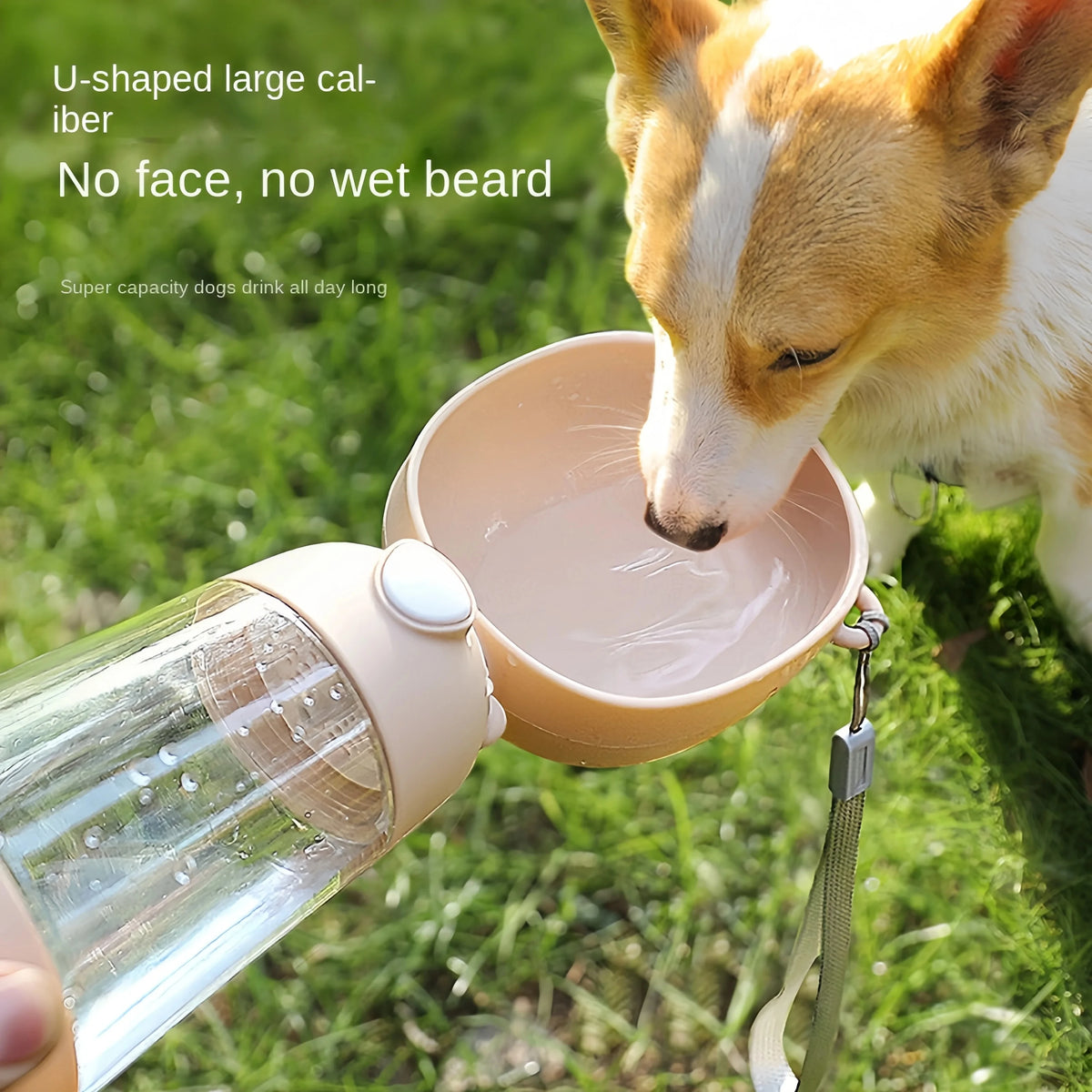 Antislip Double Dog Bowl Silicone Mat Durable Stainless