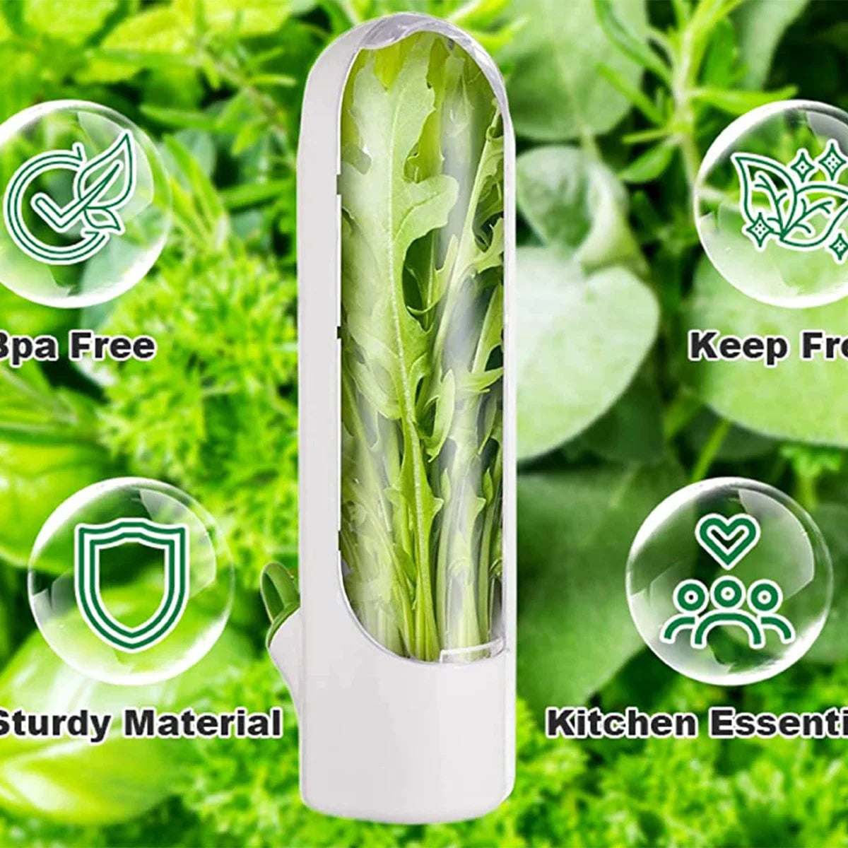 1/2/3pcs Green Fresh Herb Keeper Vanilla Vegetables Fresh