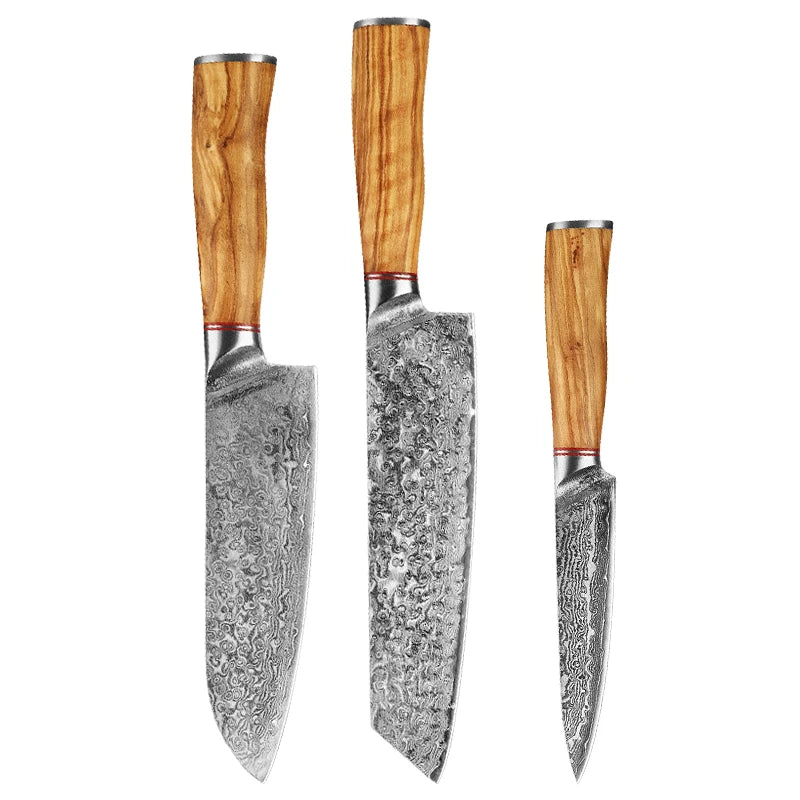 Damascus Steel Knife 67 Layer Slicing Knife Meat