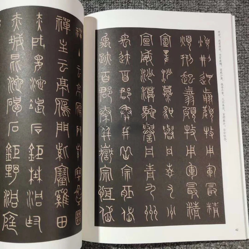 Multiple Styles Calligraphy Copybooks Chinese Thousand