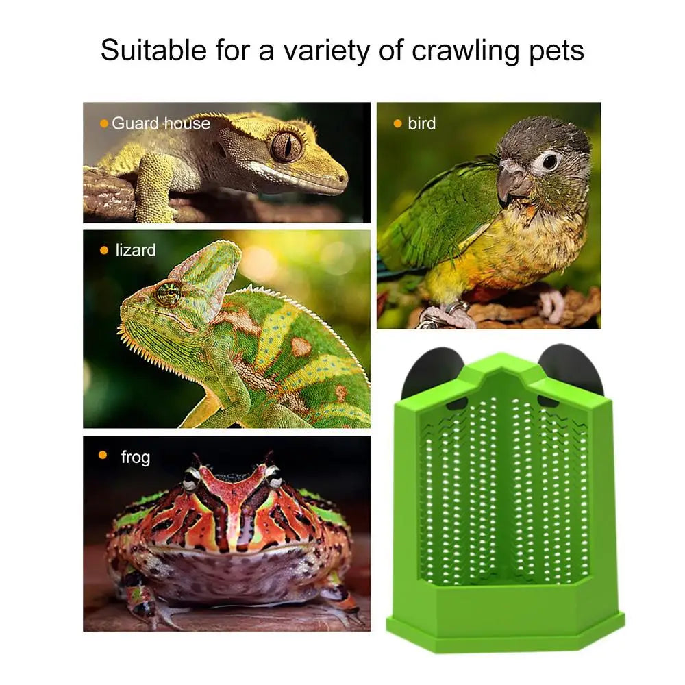 Reptile Food Dish Reptile Feeding Bowls Reptile Dish