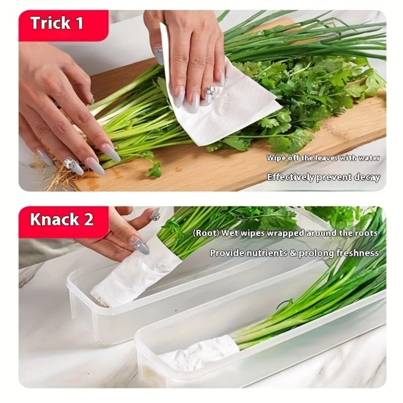 Refrigerator Fresh-Keeping Storage Box Fresh-Keeping Artifact
