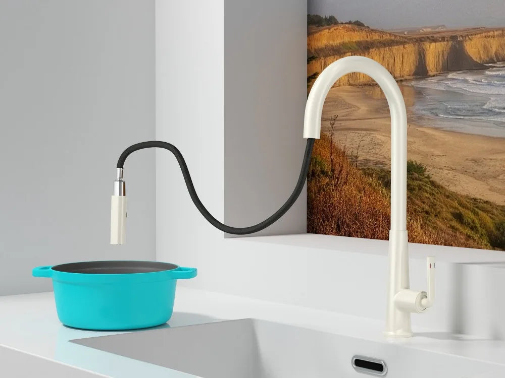 Brushed Gold Faucet Pull Out Sprayer Cold Water