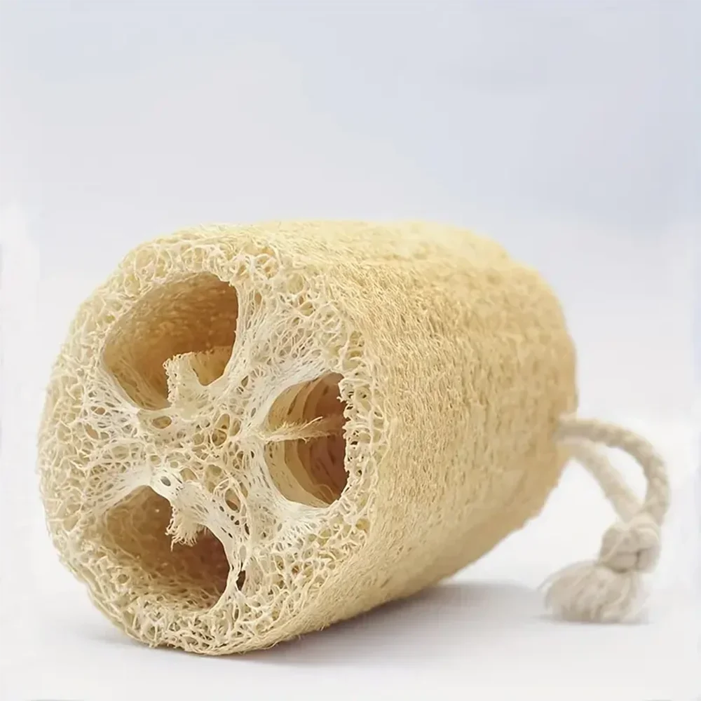 1/3/5pcs Natural Loofah Dish Brush Pot Brush Cleaning