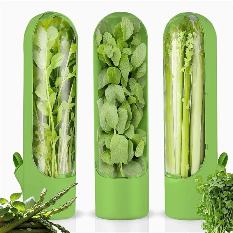 1/2/3pcs Green Fresh Herb Keeper Vanilla Vegetables Fresh