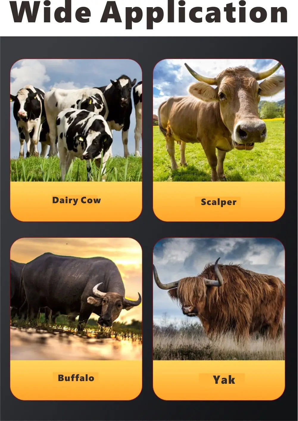 Roller Cleaning Brush Cow Body Brush Cow Scratching