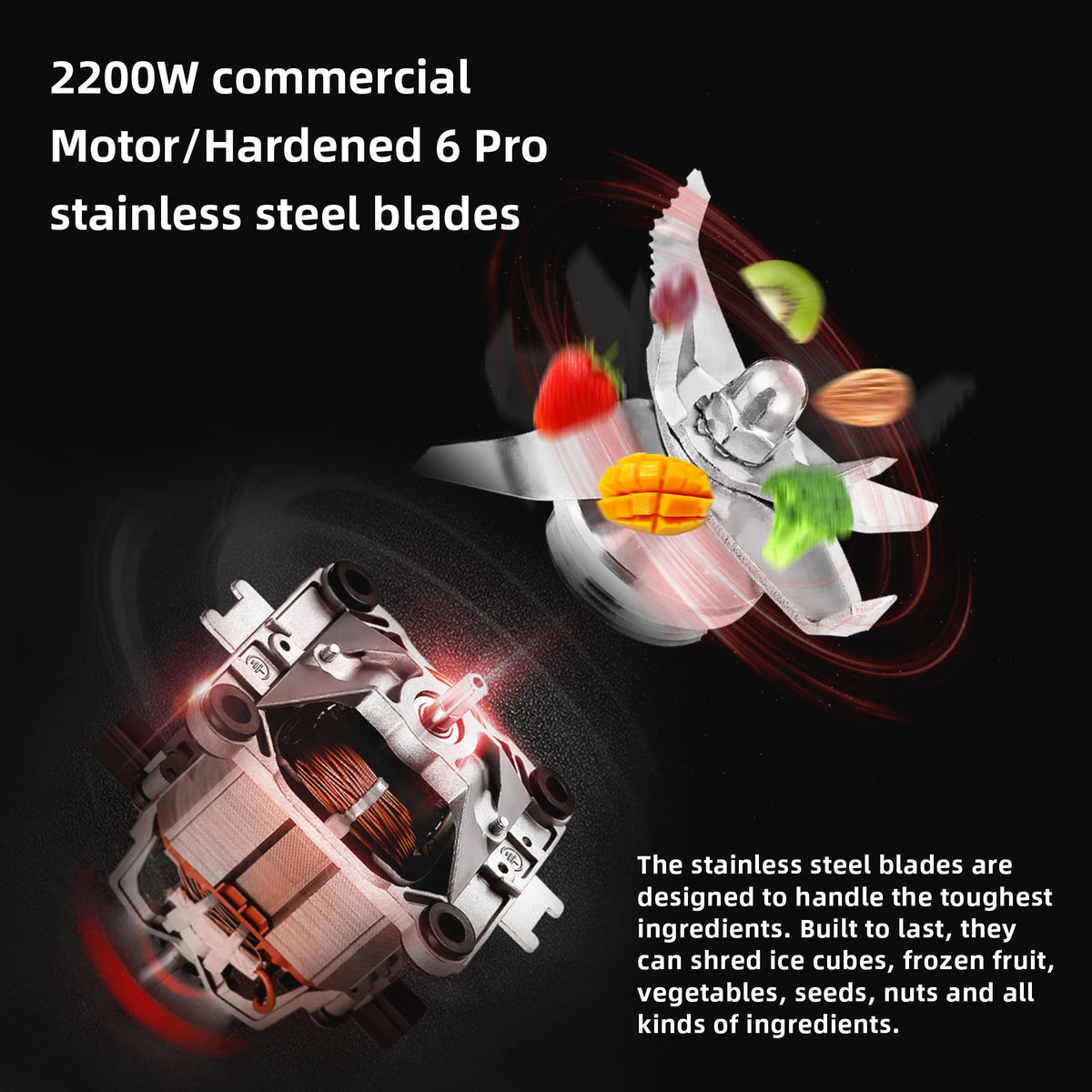 Biolomix Digital Bpa 2l Automatic Program Professional Commercial