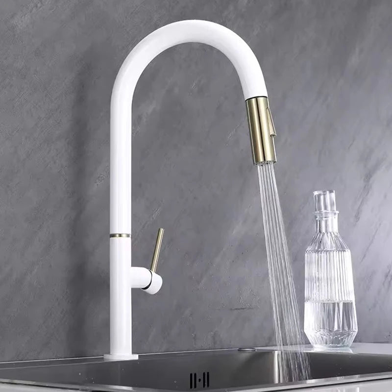 Oxg 304 Stainless Steel Lead-Free Faucet Pull-Out Sprayer