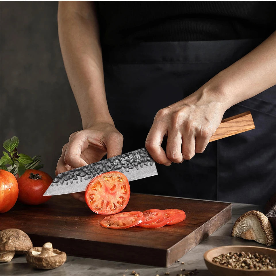 6-Inch Japanese Bunka Knife 67 Layer Damascus Steel