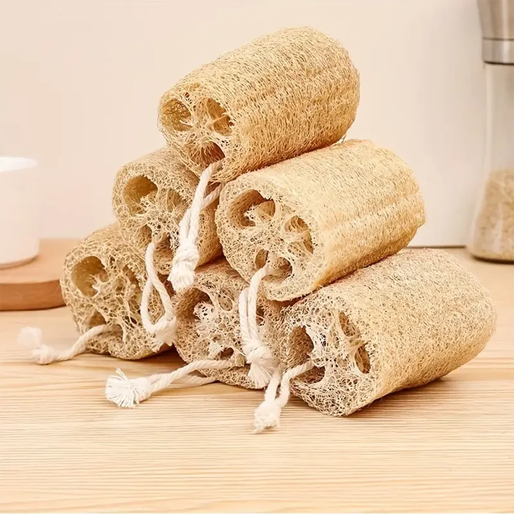1/3/5pcs Natural Loofah Dish Brush Pot Brush Cleaning