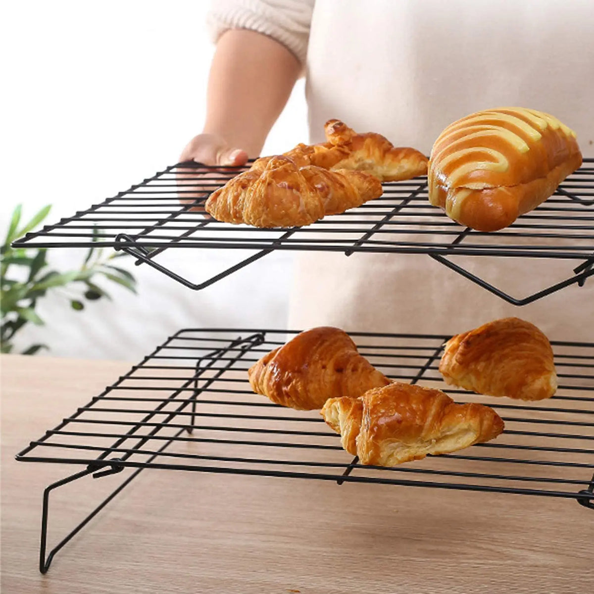 Stainless Steel Non Stick Wire Grid Baking Tray