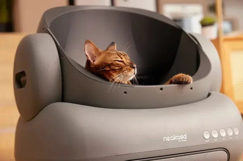 Neakasa Cat Toilet Self Cleaning Automatic Toilet App