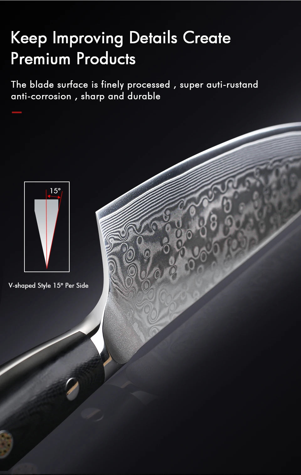 Turwho Professional Chef Knife 67 Layer Damascus Steel