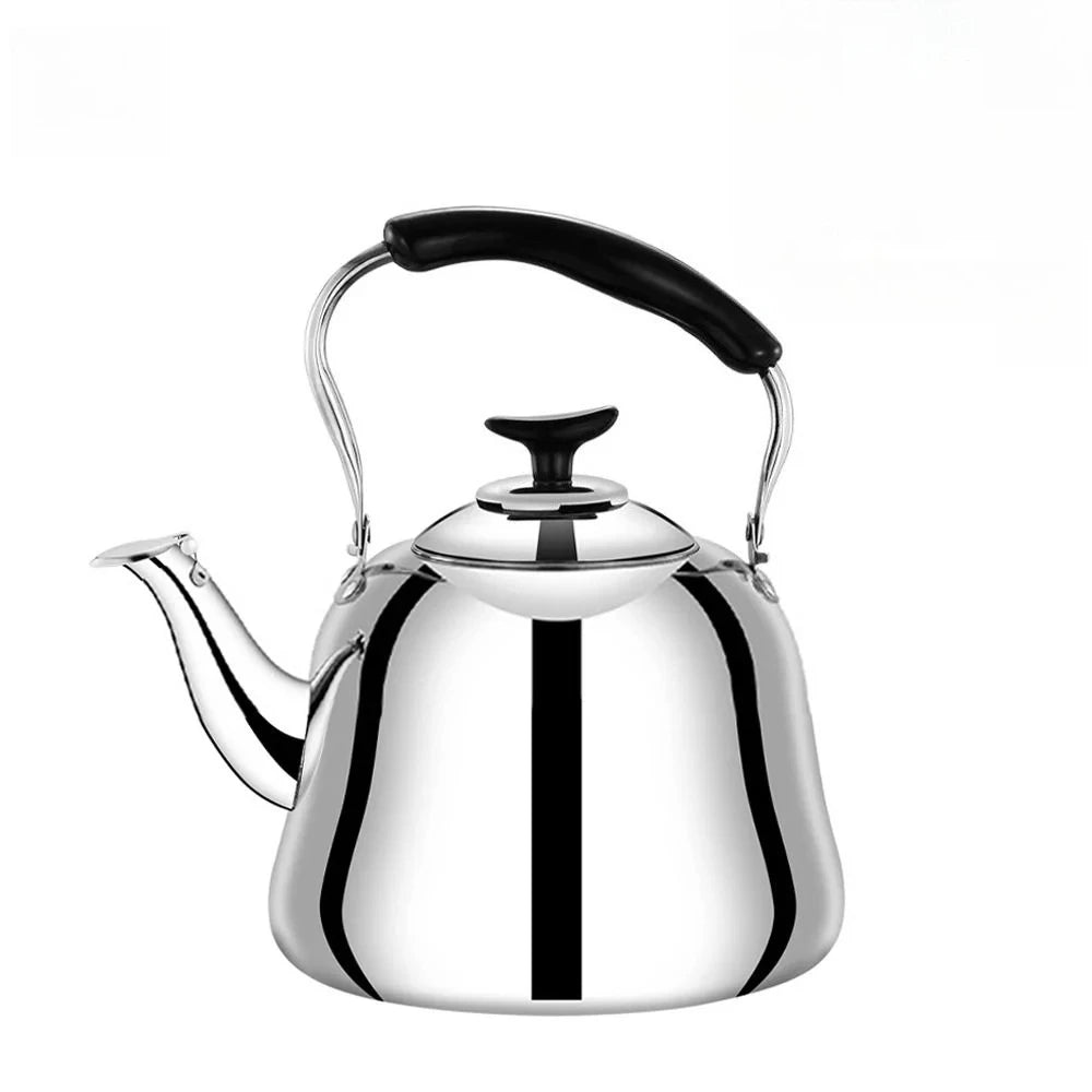 Stainless Steel Tea Kettle Whistle Tea Infuser Large
