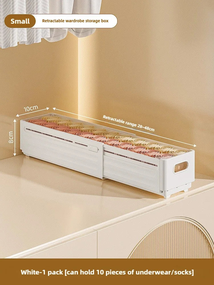 Adjustable Clothes Storage Box Closet Organizer Categorized