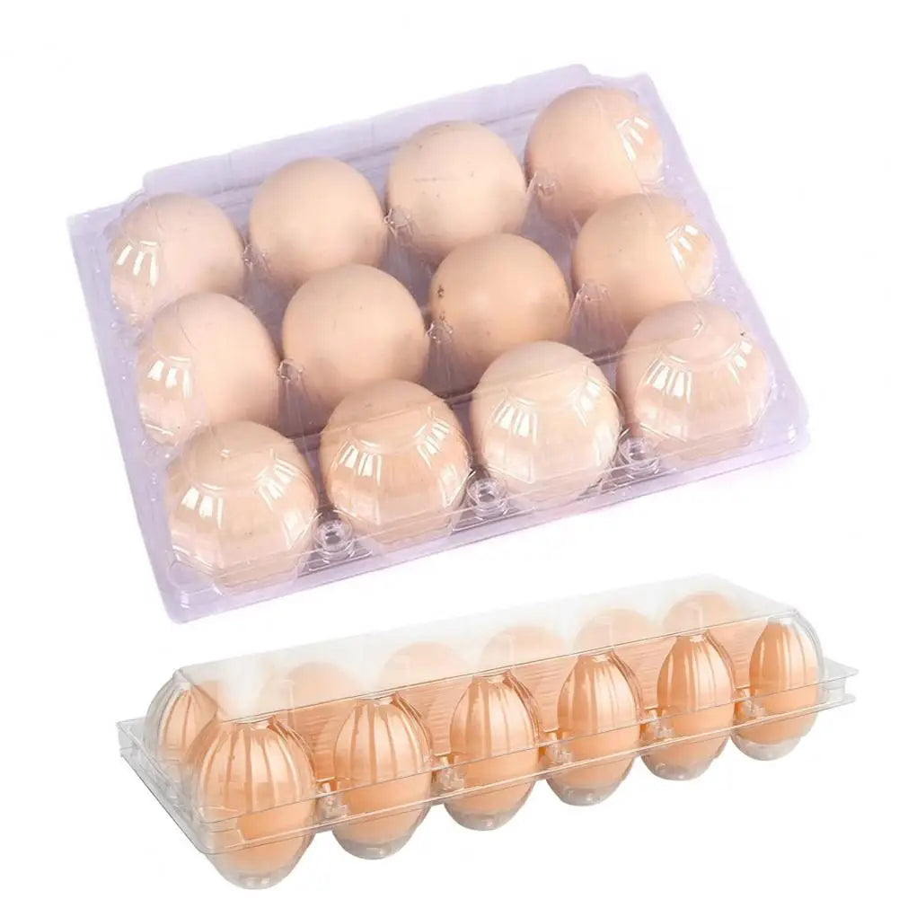 50pcs Egg Holder Plastic Cartons 12 Count Reusable