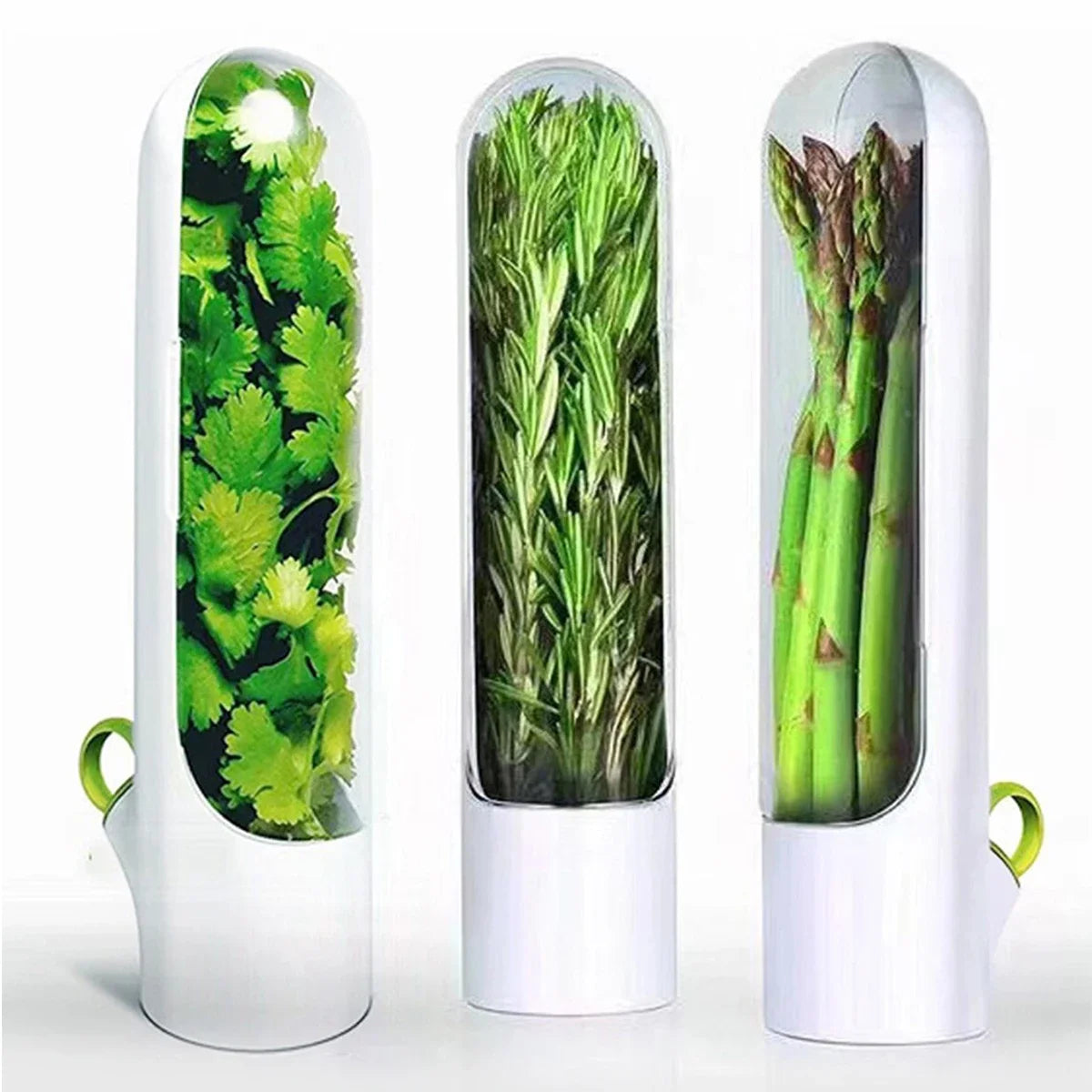 1/2/3pcs Green Fresh Herb Keeper Vanilla Vegetables Fresh