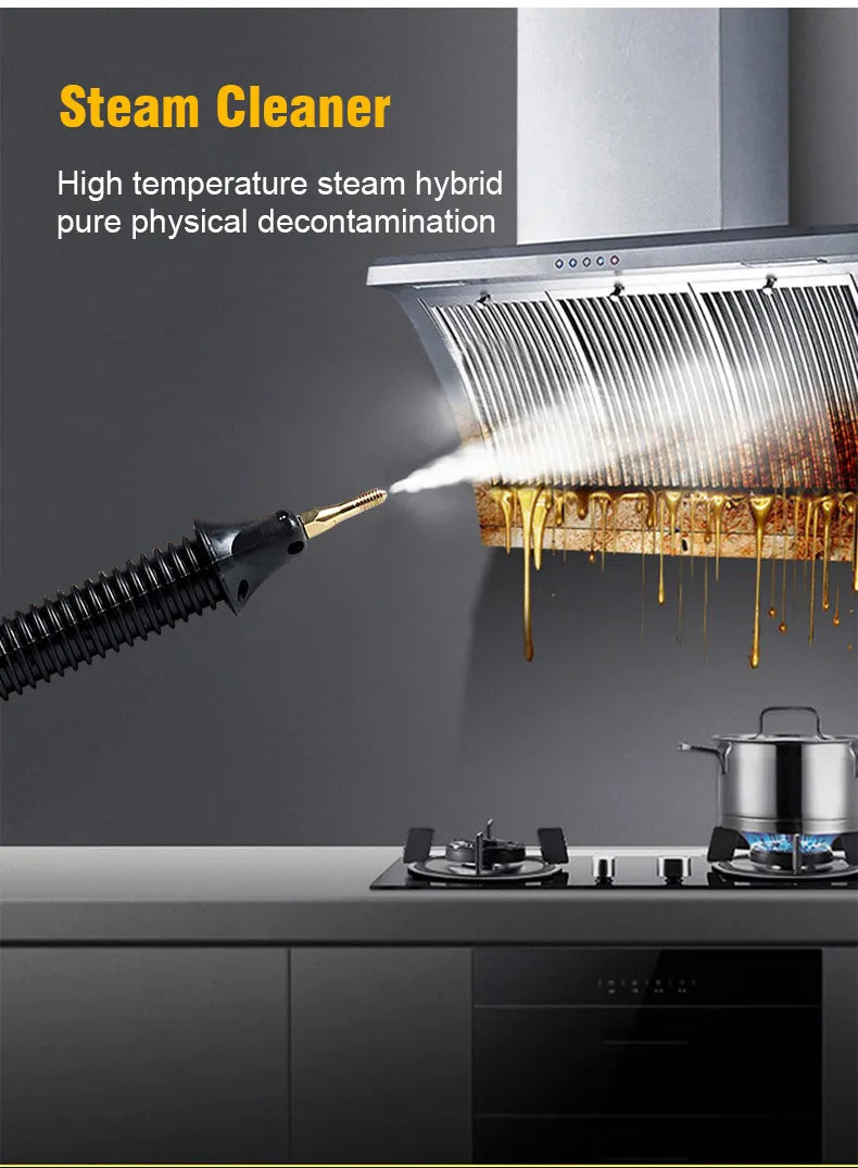 High Temperature Steam Cleaner 2600w Sterilization Pressure Jet