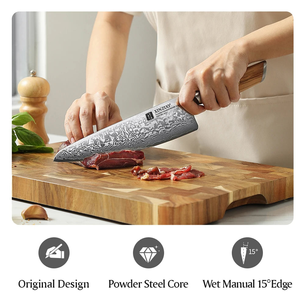 Xinzuo Chef Knife 73 Layers Damascus Steel Knives