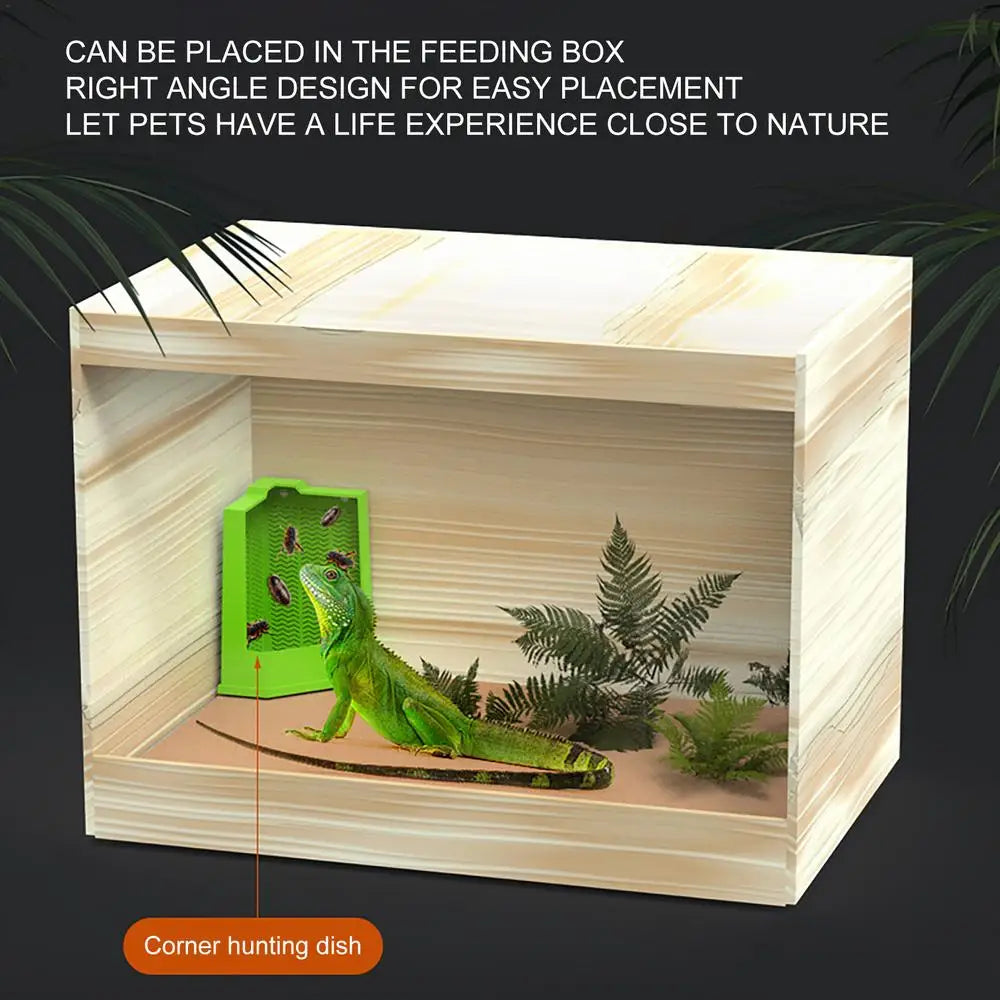 Reptile Food Dish Reptile Feeding Bowls Reptile Dish