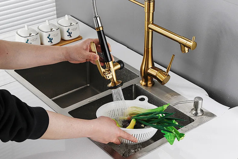 Faucet Brushed Nickel Pull-Out Faucet Swivel Dual Purpose
