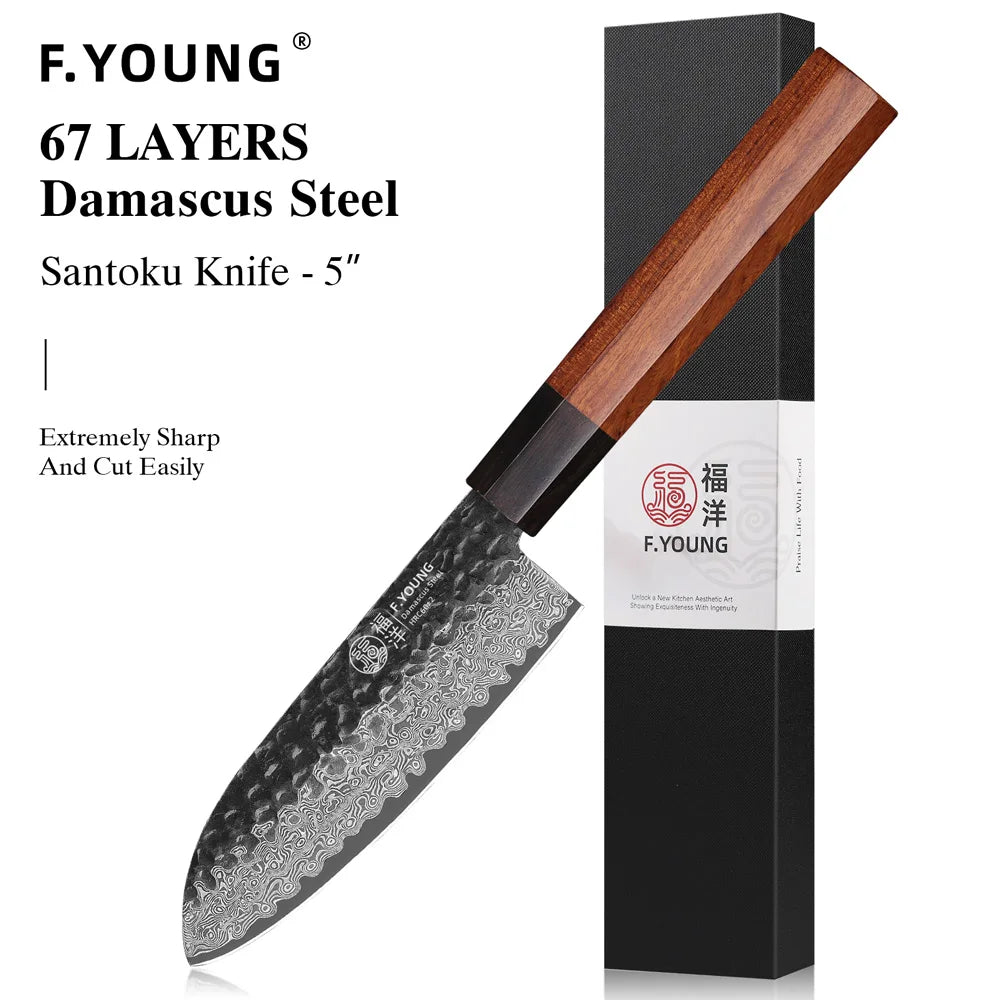 Young Japanese Hand Forged Chef Knife Damascus Steel