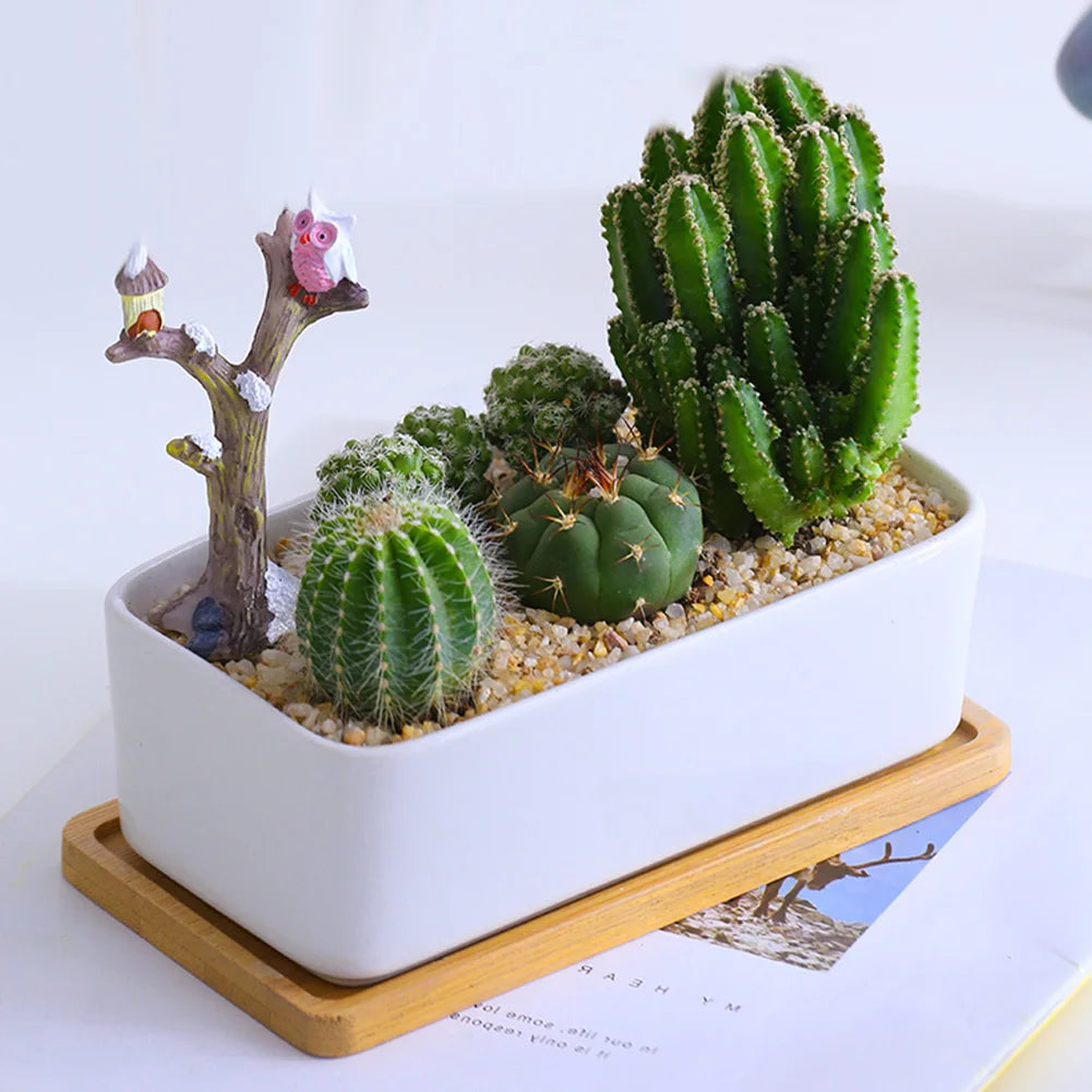 Rectangle Natural Bamboo Tray Plant Succulent Pot Saucer
