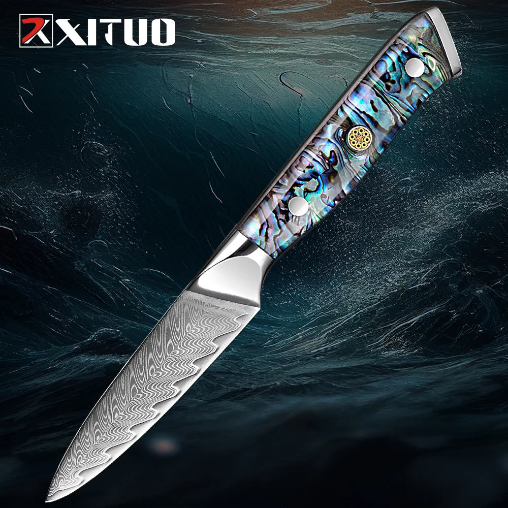 Xituo Damascus Steel Knife 1-5 Chef Knife Japanese