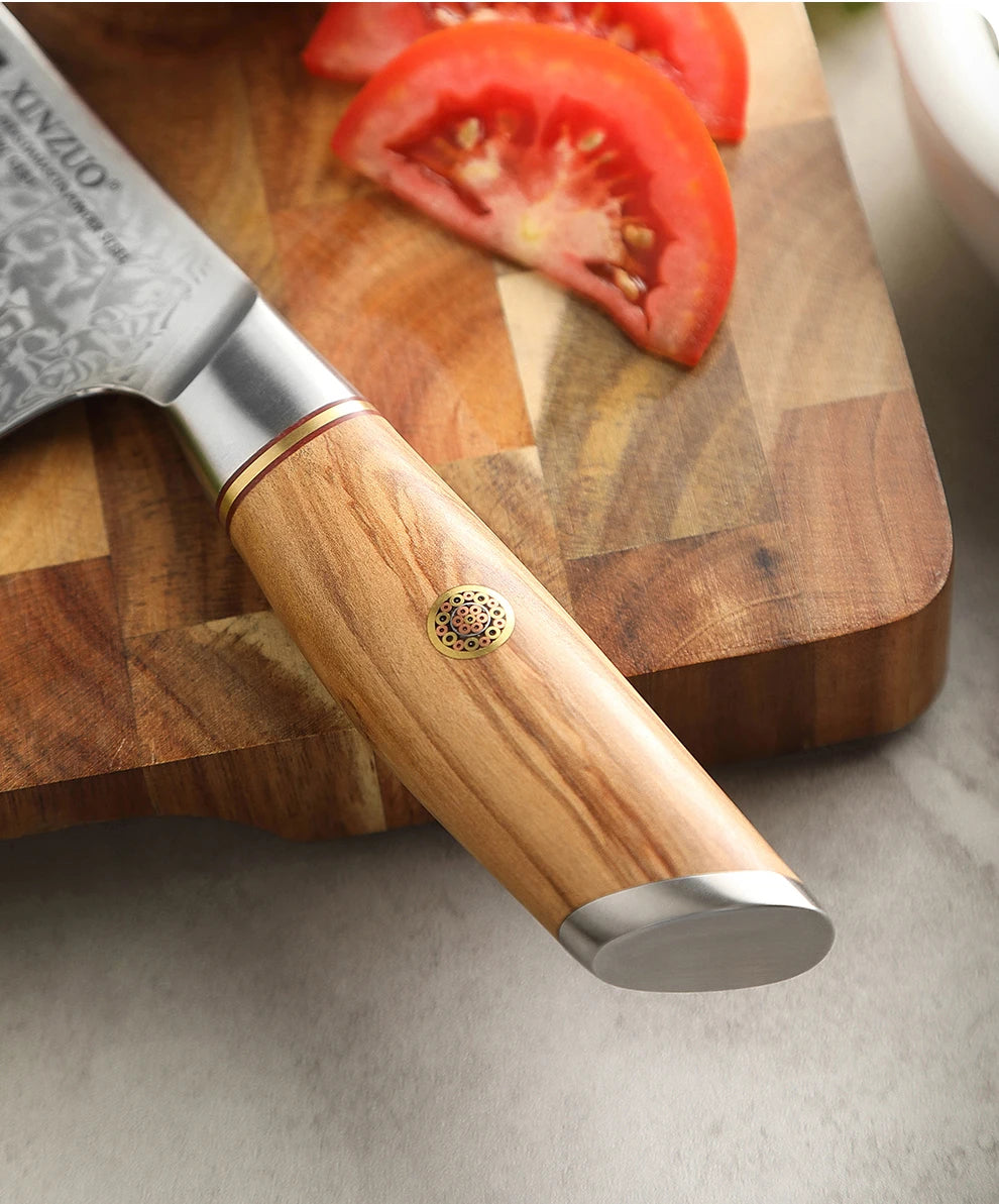 Xinzuo Chef Knife 73 Layers Damascus Steel Knives