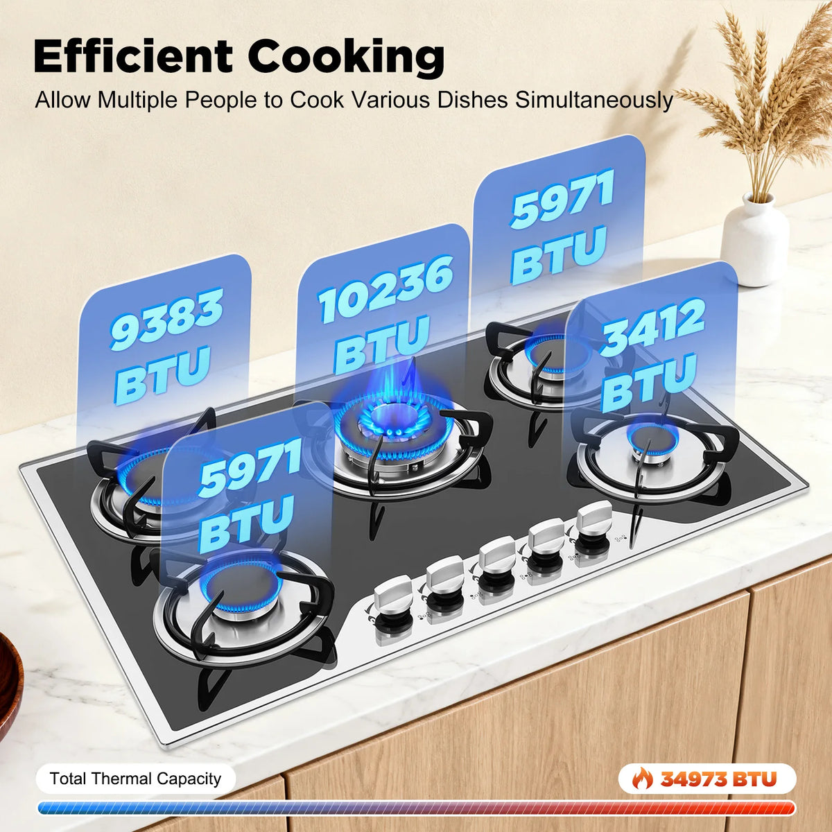 Burners Built-In Gas Stove Dual Fuel Ng/Lpg Convertible