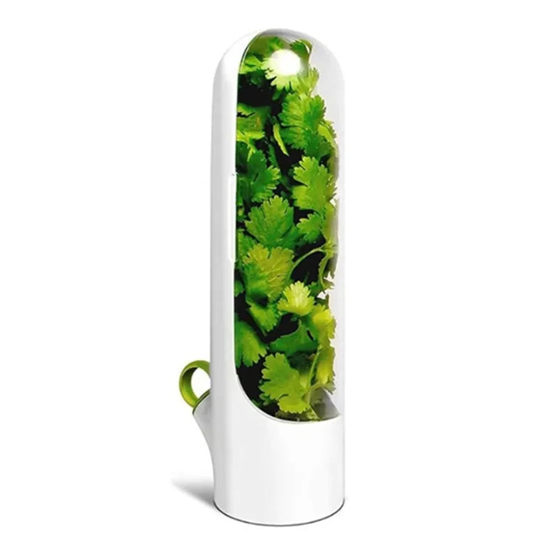 1/2/3pcs Green Fresh Herb Keeper Vanilla Vegetables Fresh
