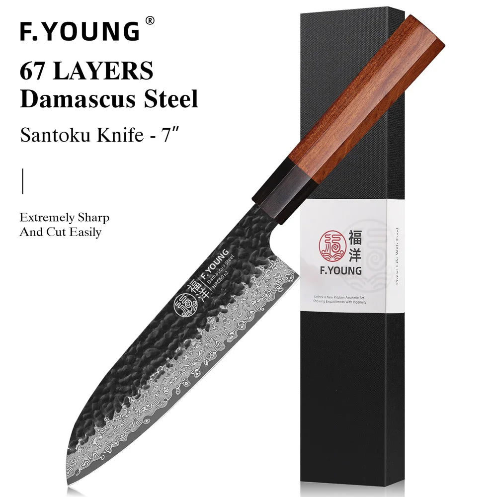 Young Japanese Hand Forged Chef Knife Damascus Steel