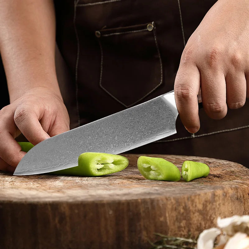 Damascus Steel Professional Chef Knife Super Sharp Cutting