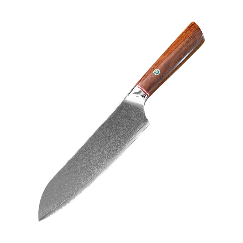 Damascus Steel Professional Chef Knife Super Sharp Cutting