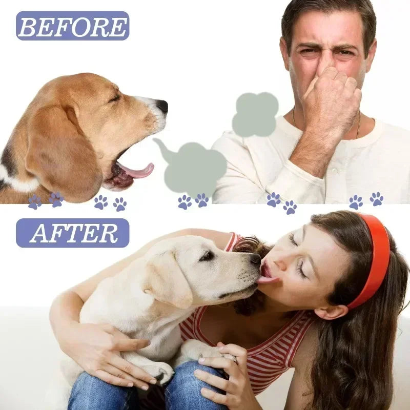 Pet Oral Care Spray Dogs Daily Teeth Cleaning