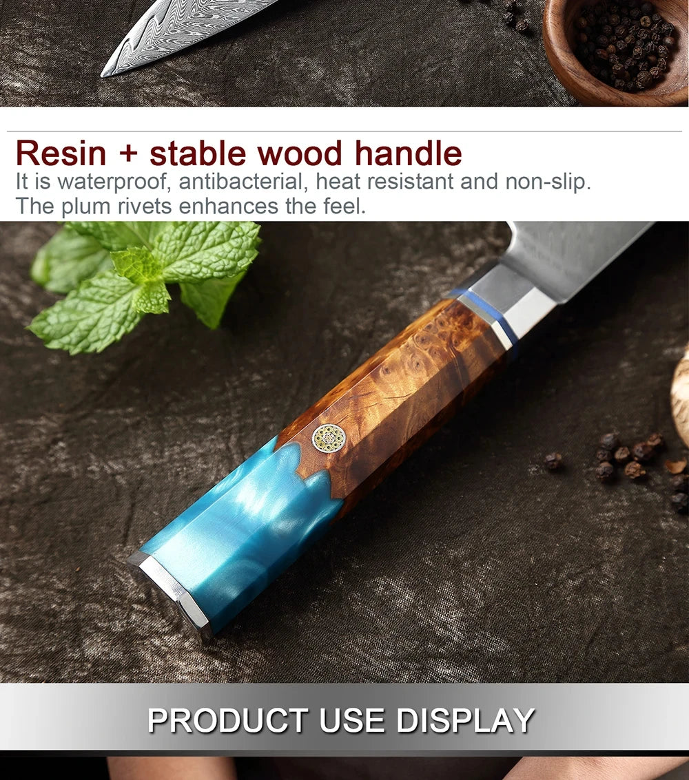 Japanese 67-Layer Damascus Steel Knife Utility Knife Meat