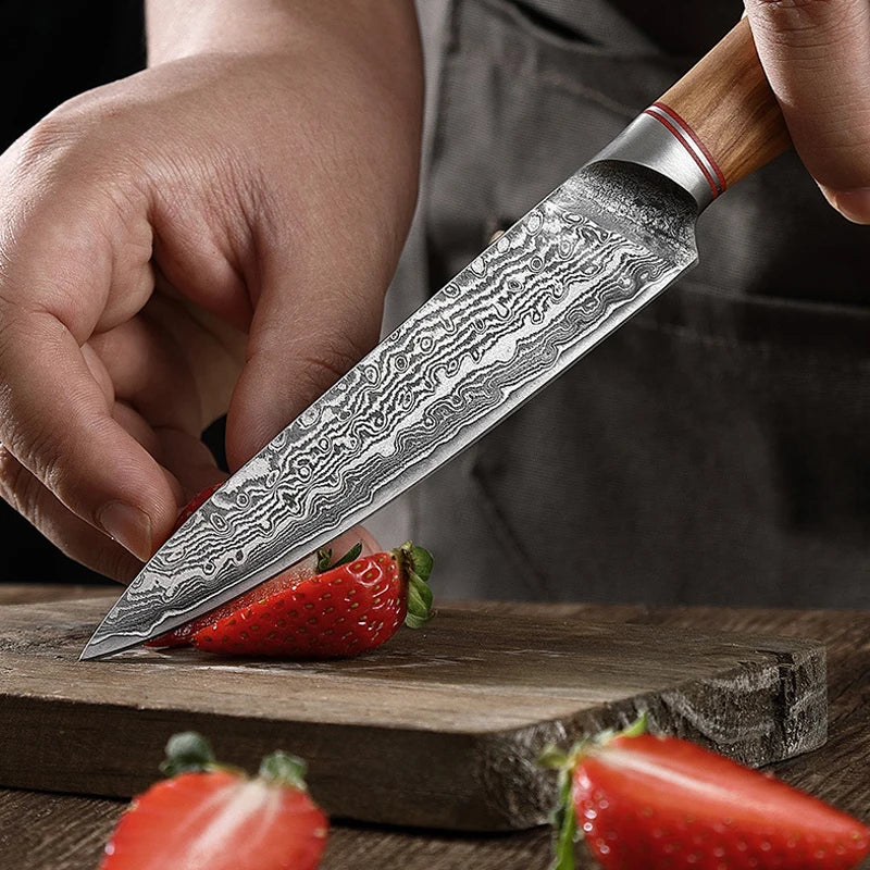 Damascus Steel Knife 67 Layer Slicing Knife Meat