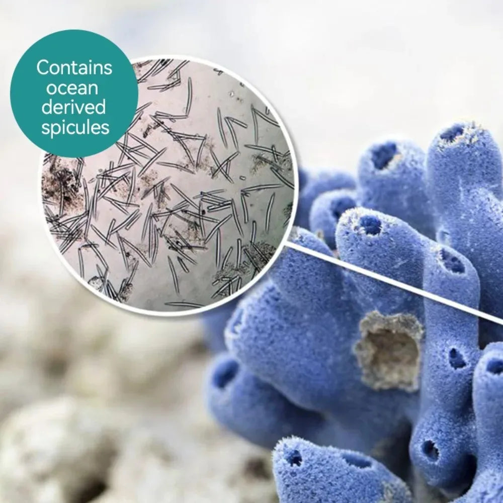 Vial Sponge Spicule Bio-Microcrystalline Kit Clean Pores Coarse