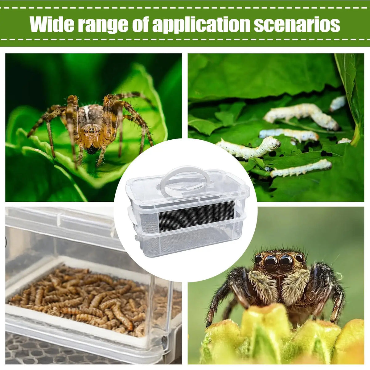 Mealworm Farm 2/3 Layer Clear Mesh Breeder Bin
