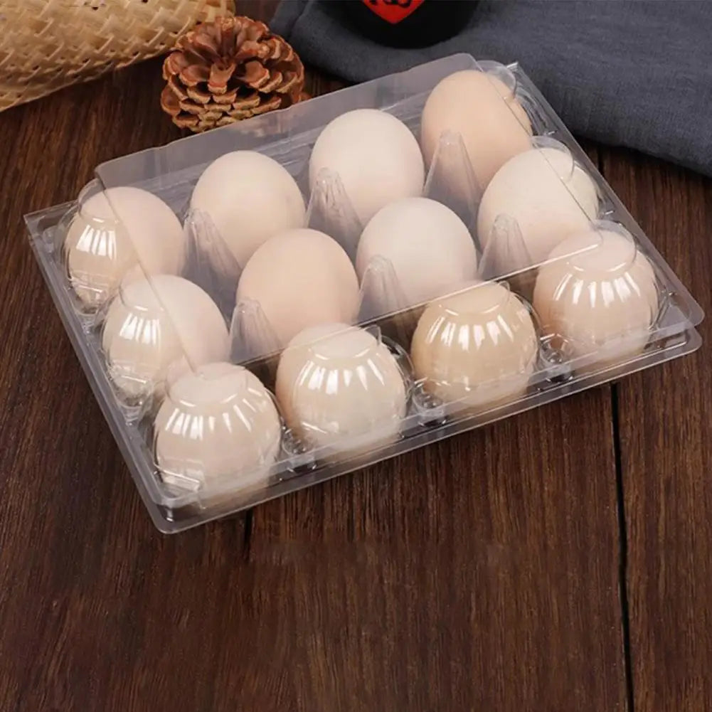 50pcs Egg Holder Plastic Cartons 12 Count Reusable