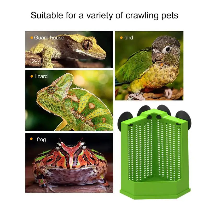 Reptile Food Dish Reptile Feeding Bowls Reptile Dish