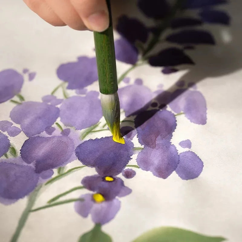 Brush Chinese Painting Pigments Beginners Chinese Painting Full