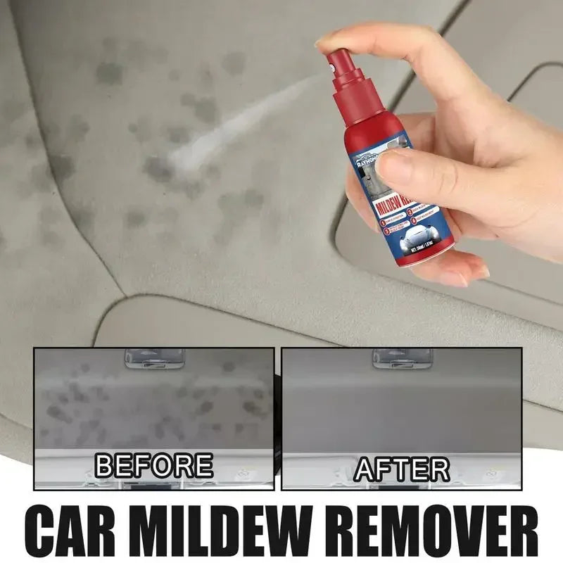 All In One Car Interior Cleaning Spray Multi