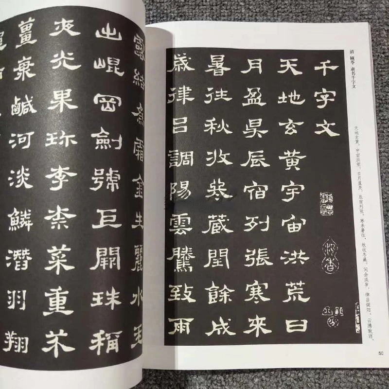 Multiple Styles Calligraphy Copybooks Chinese Thousand